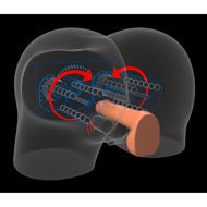 PDX Elite Milk Me Silly Light