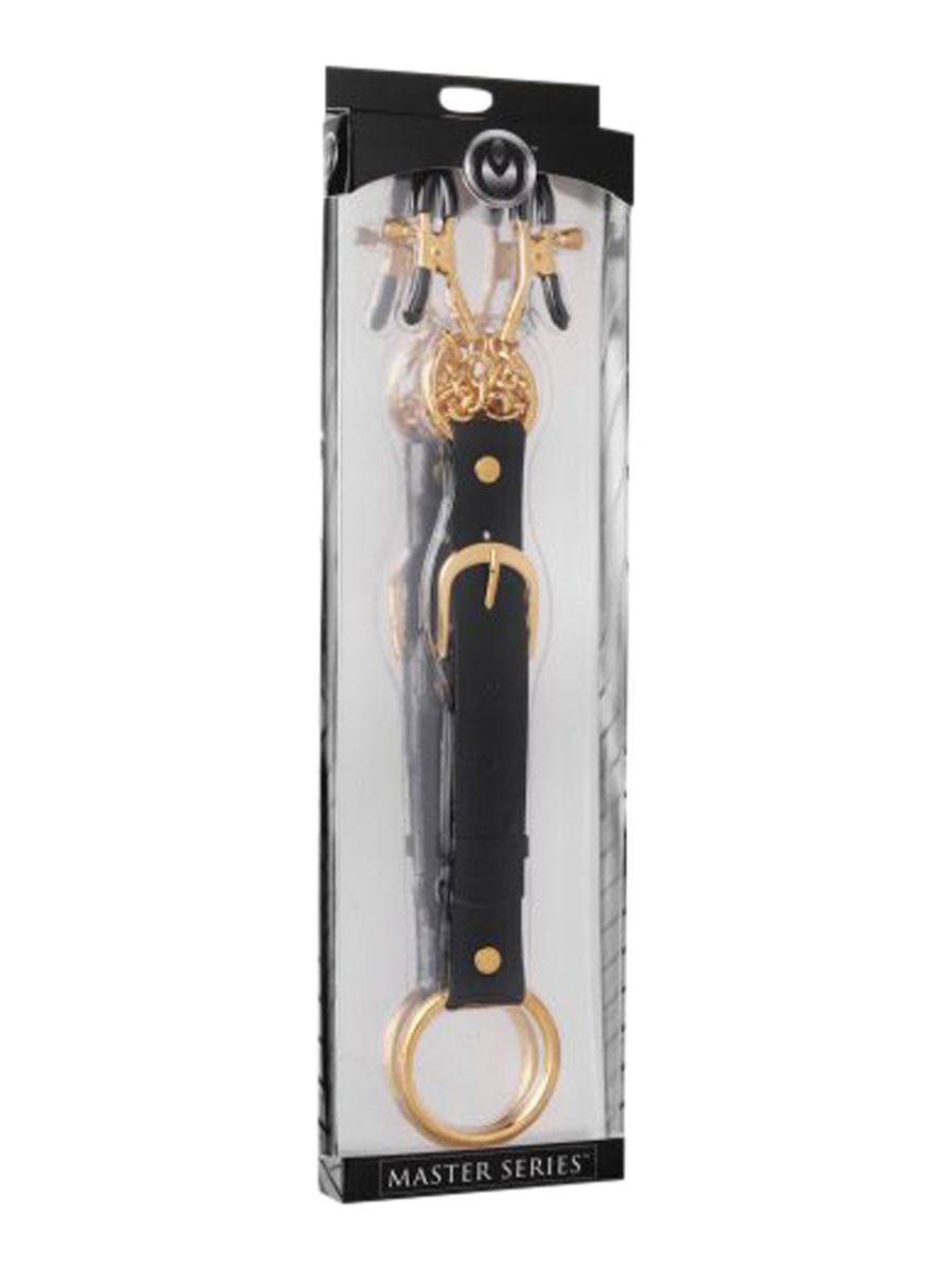 Penitentiary Nipple Clamps and Cock Ring Set